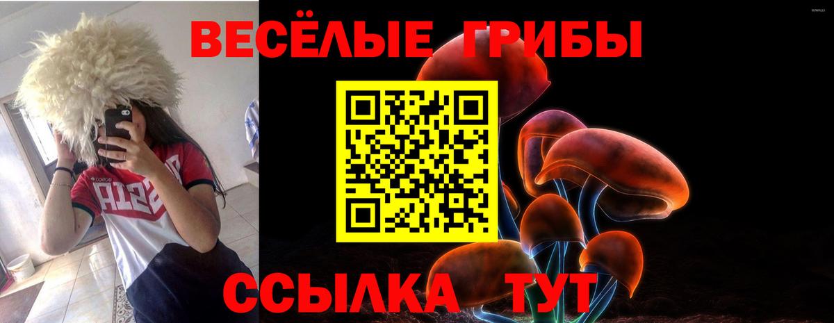 купить   Галлюциногенные грибы GOLDEN TEACHER  Вход с VPN  Псилоцибиновые грибы MAGIC MUSHROOMS  Мурино 