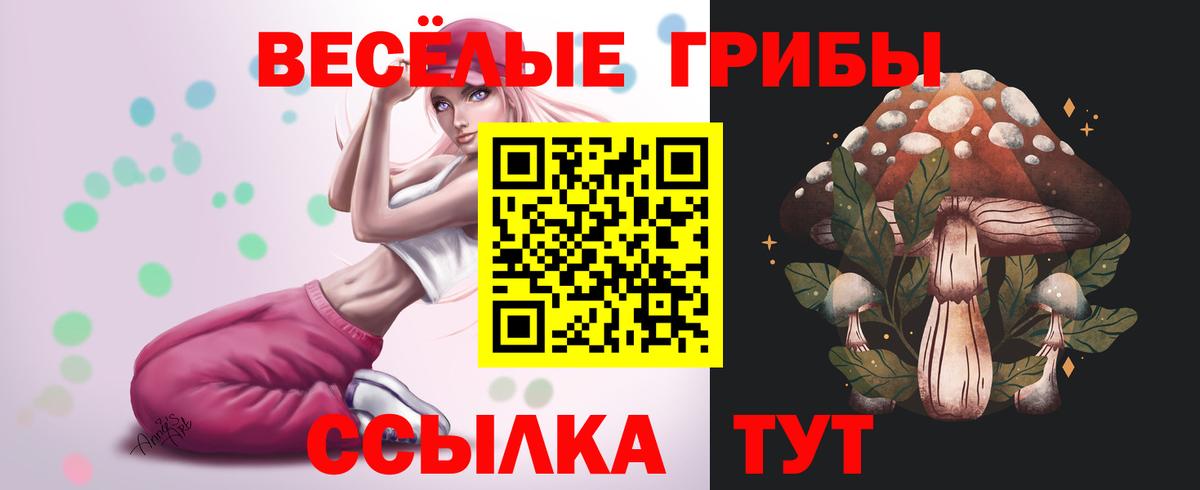 Псилоцибиновые грибы мицелий Мурино